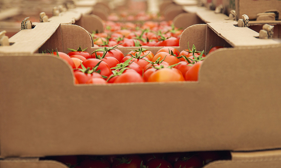 Wholesale Food Distribution - 30 Years - Ebiptda $382,000 For Sale 1 Wholesale Food Distribution - 30 Years - Ebiptda $382,000 For Sale 1