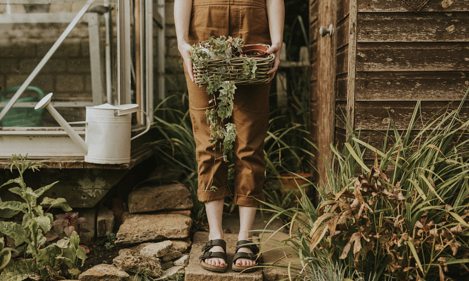 Lifestyle Village Management Rights Business for Sale Tauranga 1