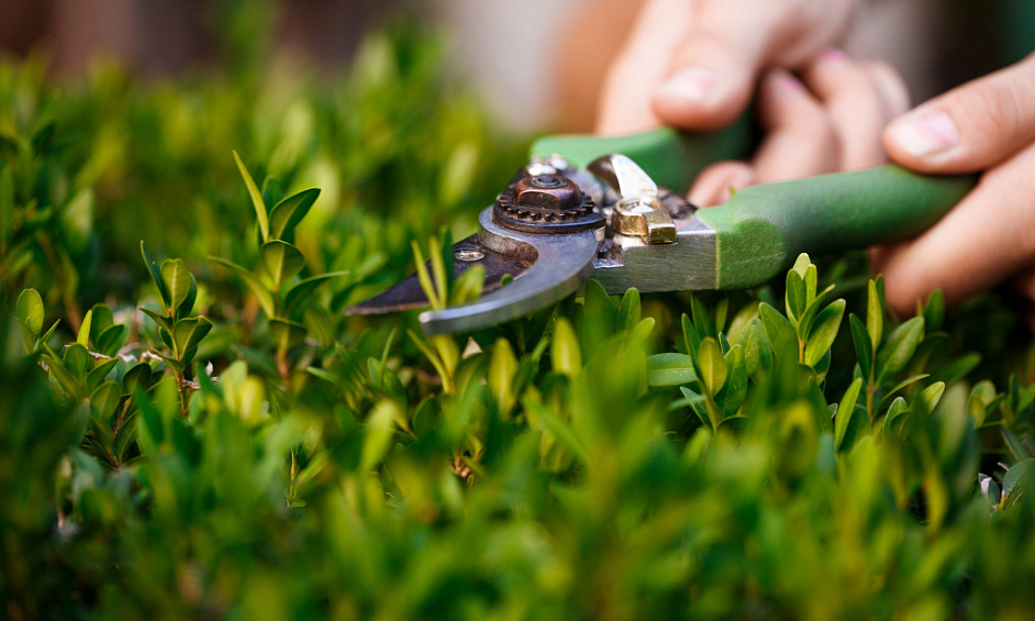 Lawn and Garden Services Franchise for Sale Gisborne 1