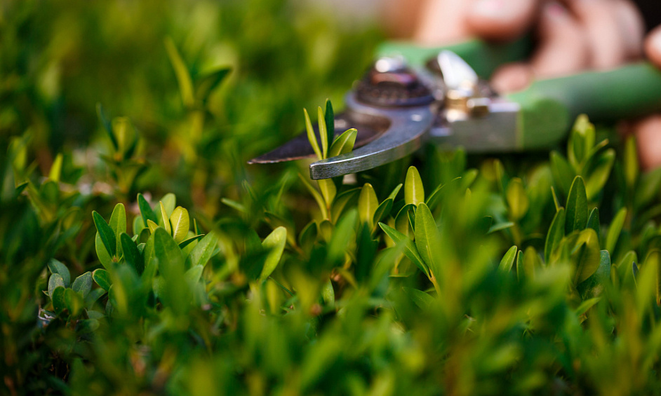 Lawn and Garden Services Franchise for Sale Invercargill 1