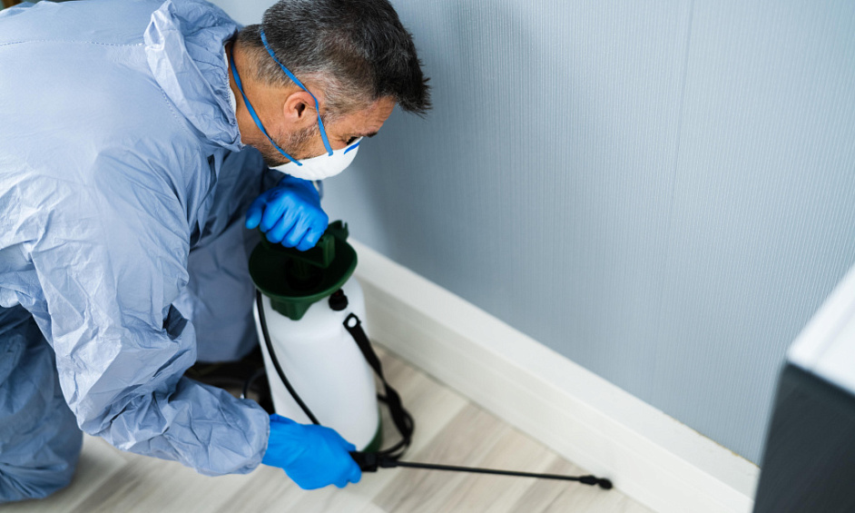 Pest Control Business for Sale Auckland 1