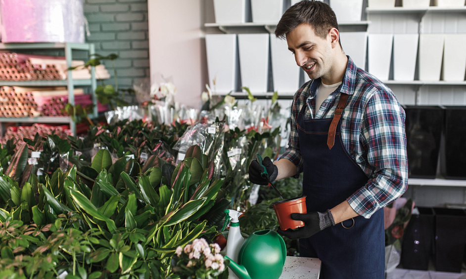 Lawn and Garden Services Franchise for Sale Hawkes Bay 1