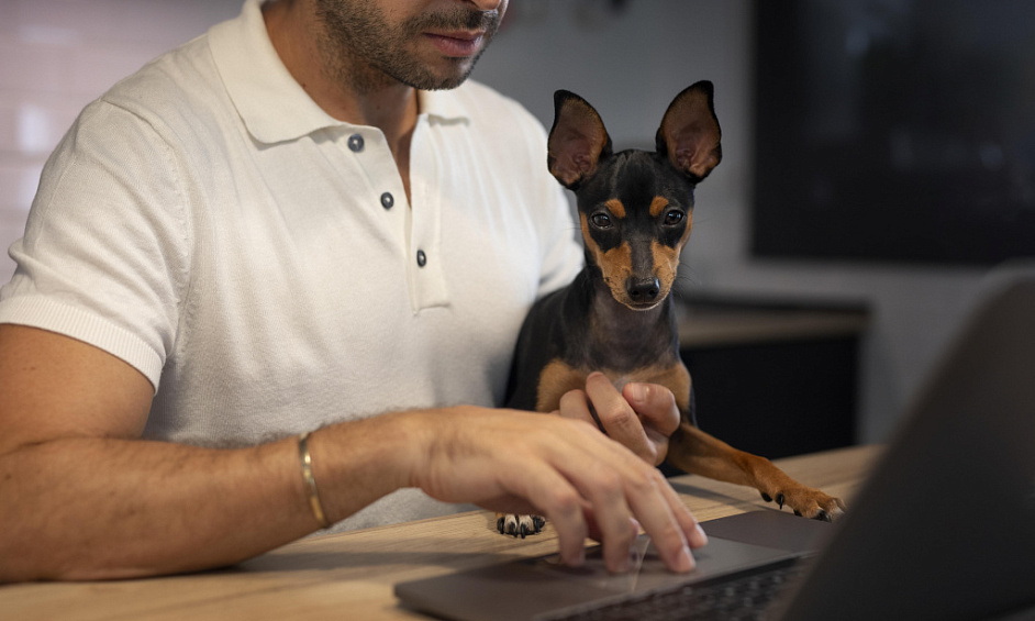 Pet Industry Business for Sale Two north Shore locations available on application 1