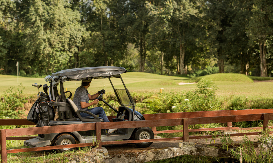 Outdoor Power Equipment Business for Sale East Auckland 1