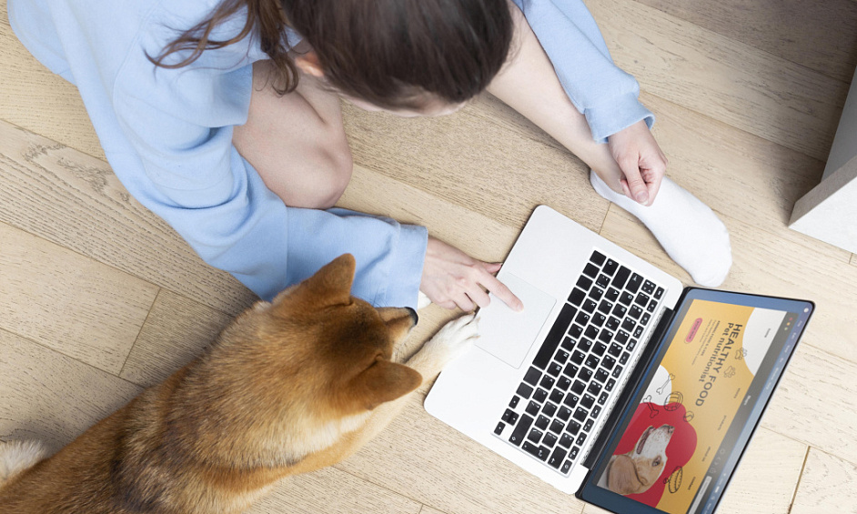 Online Pet Business for Sale Wanaka 1