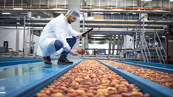 Food & Drink Manufacturing Companies for sale in Auckland City 245985