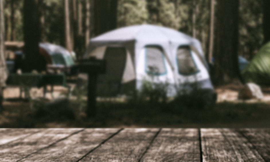 Classic Kiwi Campground Business for Sale Taranaki 1