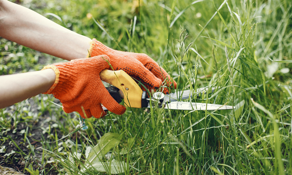 Lawn Mowing Franchise for Sale Tauranga 1