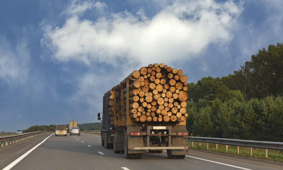 Log Transport Company In New Zealand For Sale 1 Log Transport Company In New Zealand For Sale 1