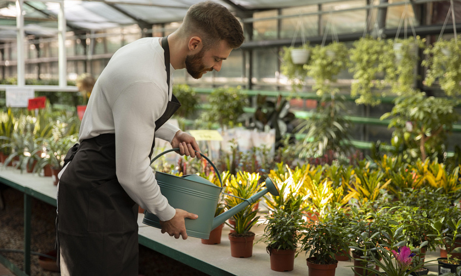 Horticultural Contracting Business for Sale Bay of Plenty 1