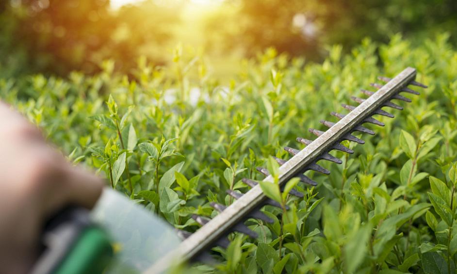 Lawn and Garden Services Franchise for Sale Christchurch 1
