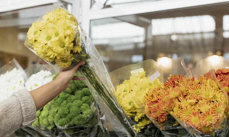 Horticulture Processing and Packing Business for Sale Bay of Plenty 1