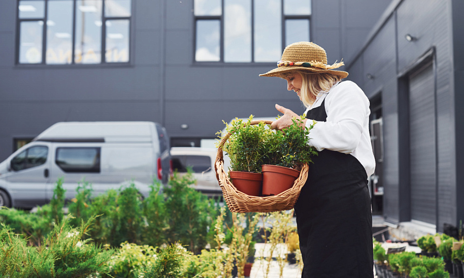 Master Franchisee Licence Business Opportunity for Sale Tauranga 1