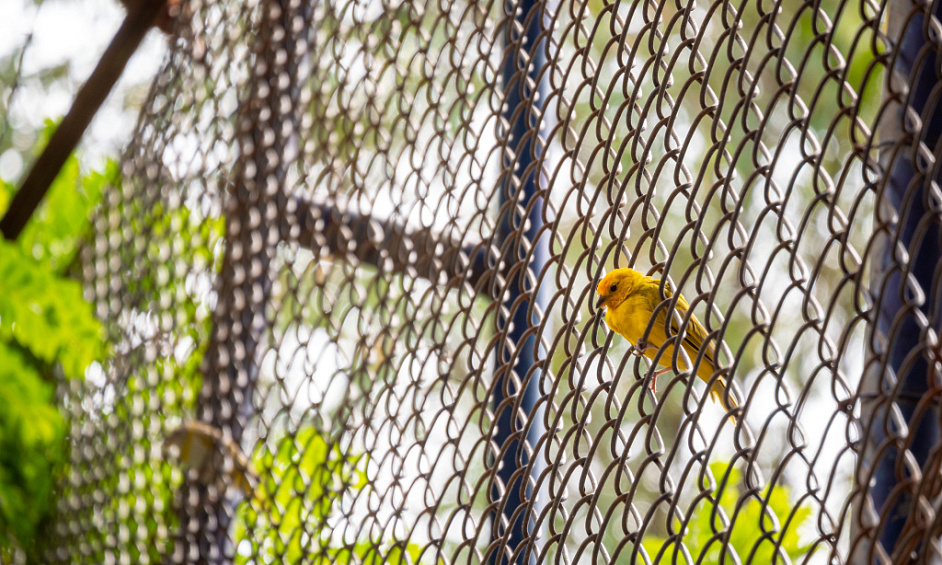 Industrial Bird & Sports Netting Business for Sale Wellington 1 Industrial Bird & Sports Netting Business for Sale Wellington 1