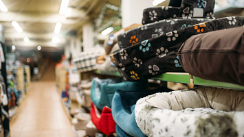 Pet Shops for sale in Auckland City 246159