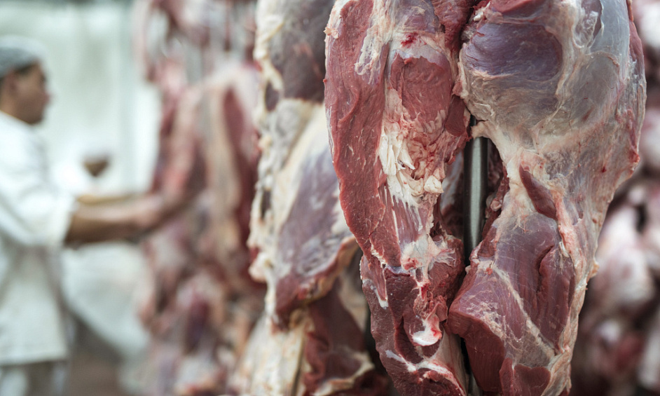 Butchery Business for Sale Christchurch 1 Butchery Business for Sale Christchurch 1