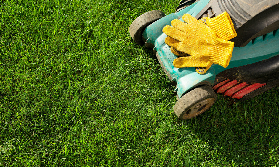 Garden Services Franchise for Sale Dannemora, North Park, Beachlands 1