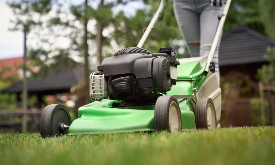 Lawn and Garden Services Franchise for Sale Island Bay and Miramar 1