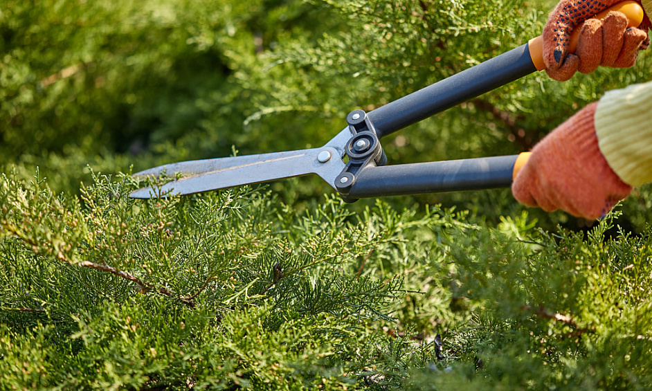 Lawn & Garden Franchise for Sale Auckland 1