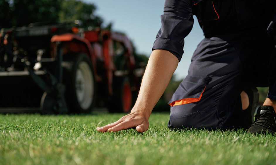 Synthetic Turf Import & Installation Business for Sale Auckland 1