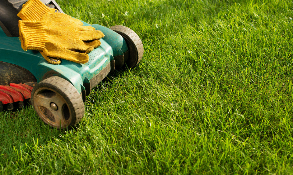 Garden Services Franchise for Sale Karaka, Drury 1
